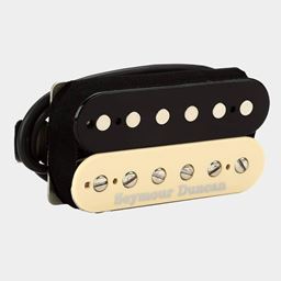 Electric Guitar Pickups