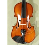 Gliga Gems I 4/4 Violin Outfit