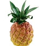 Meinl NINO "Fruit" Shaker, Pineapple
