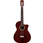 Cordoba Fusion 12 Rose II Classical Guitar