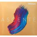 Ascente 1/16 Violin E String