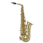 Selmer SAS711M Alto Saxophone Matte Finish