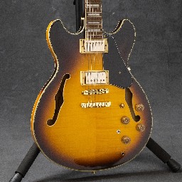 Ibanez JSM10EMTTB John Scofield Signature Electric Guitar - Two Tone Burst