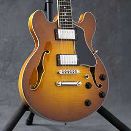 Eastman T484-GB Thinline Series Truetone Gloss - Goldburst