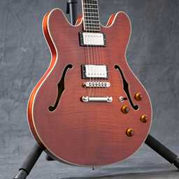 Eastman T186MX Thinline Guitar