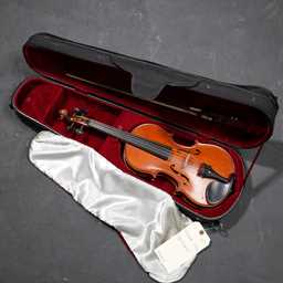Gliga Genial I 12" Standard Viola Outfit USED