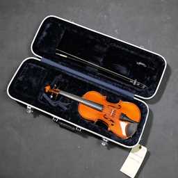 Eastman VA80 14" Standard Viola Outfit - Used