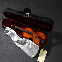 Eastman VL100 1/8 Deluxe Violin Outfit USED