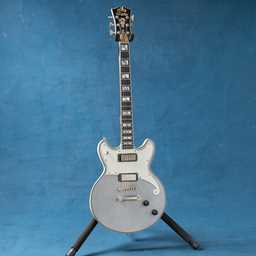 D'angelico Brighton Deluxe LE (USED)