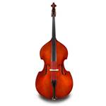 Eastman VB80ST Double Bass Outfit