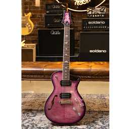 Paul Reed Smith PRS SE PRS SE Zach Myers - Elderberry Burst