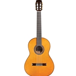 Cordoba C9 Parlor Nylon String Guitar