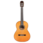 Cordoba C10 Parlor Nylon String Guitar Cedar Top