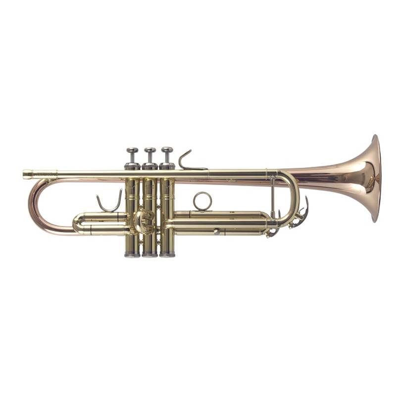 The Brass and Woodwind Shop Victoria BC Canada - Quality Used Musical  Instruments, Professional Repairs