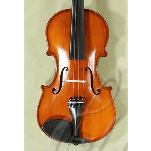 Gliga Gems I 4/4 Violin Outfit