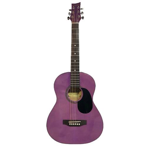 Beaver Creek BCTD601 3/4 Acoustic Guitar Trans Purple
