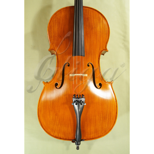 Gliga Gama 4/4 Cello Outfit