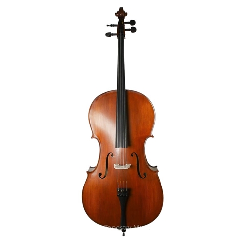 Gliga Genial I 1/8 Cello Outfit
