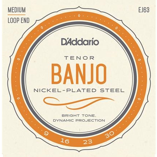 EJ63i D'addario Irish Tenor Banjo String Set Nickel Steel 12-36