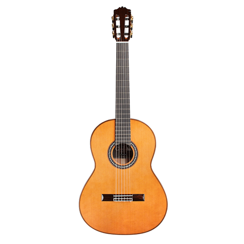 Cordoba C10 Parlor Nylon String Guitar Cedar Top