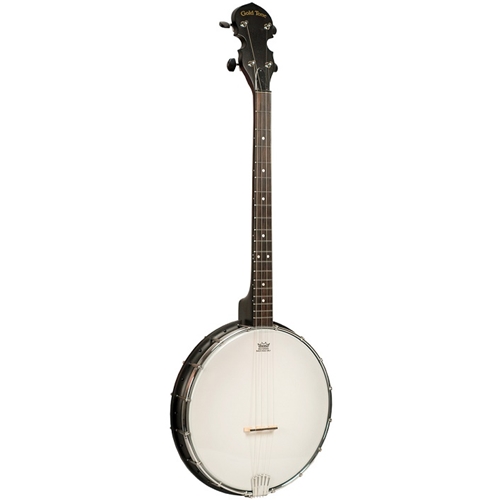 Gold Tone AC-4IT 4 String Irish Tenor Banjo