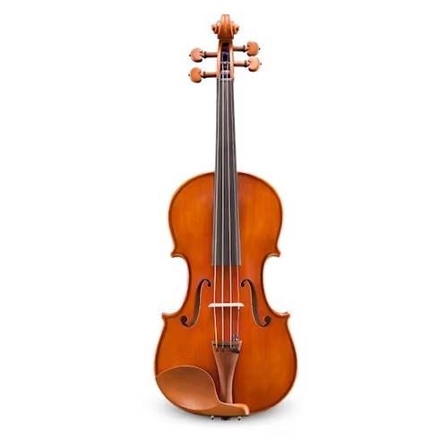 Eastman VL200ST 4/4 Violin Outfit